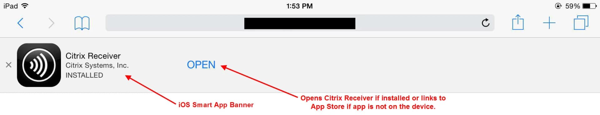 citrix-receiver-ios-smart-app-banner