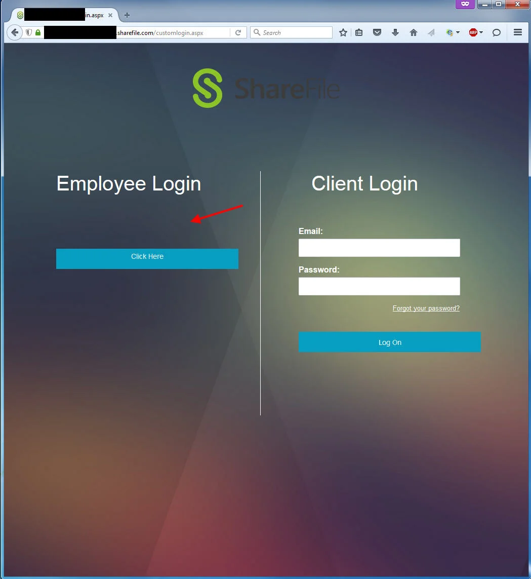 sharefile-get-rid-of-text
