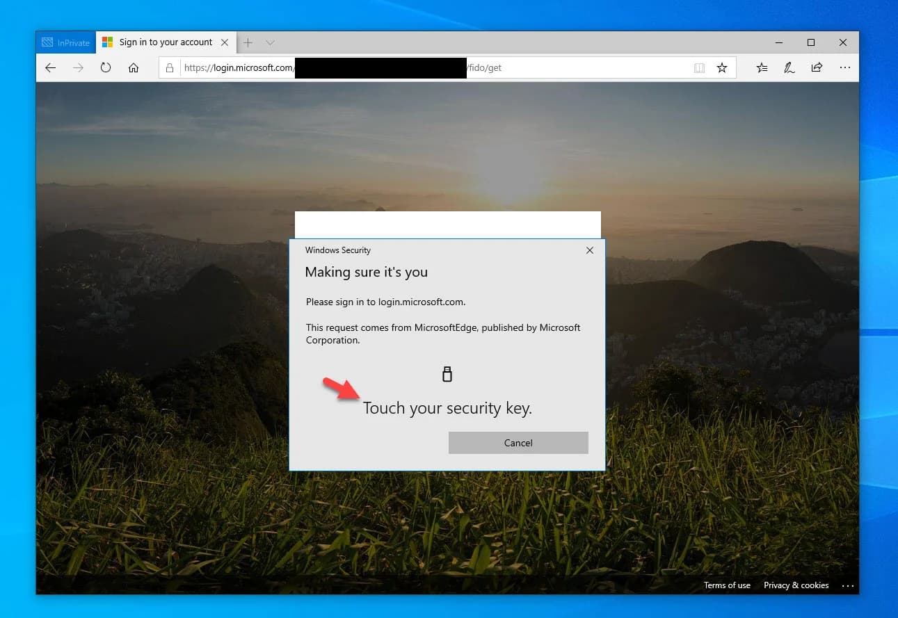 How to enable FIDO2 password-less authentication with Microsoft Azure AD for use with Windows 10 and SaaS web apps
