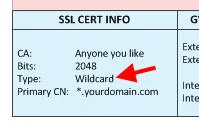 ssl-cert-netscaler-gateway-wildcard