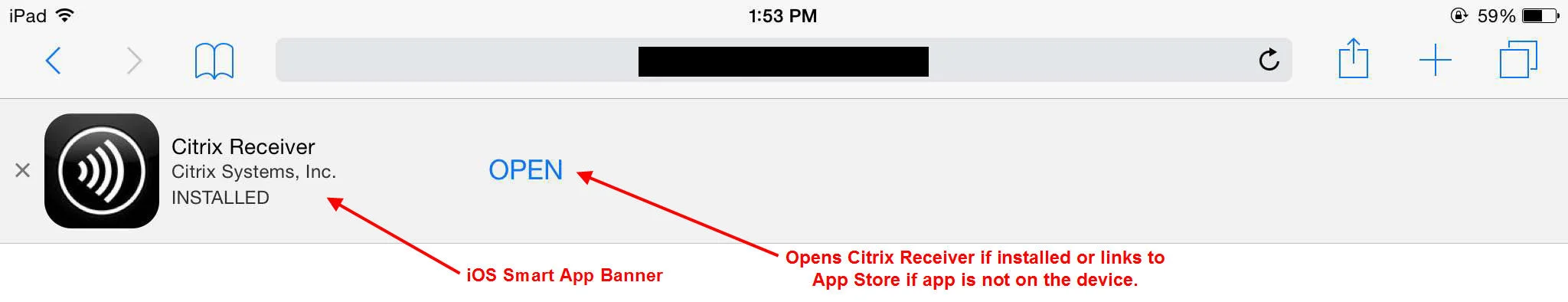 citrix-receiver-ios-smart-app-banner